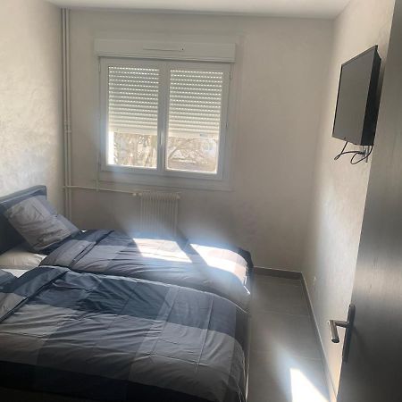 F3 Appartement 2 Chambre Un Salon Avec Wifi Saint-Jean-de-la-Ruelle Екстериор снимка